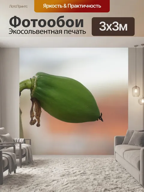 Фотообои Картинки