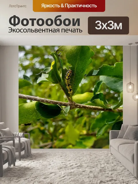 Фотообои Листья