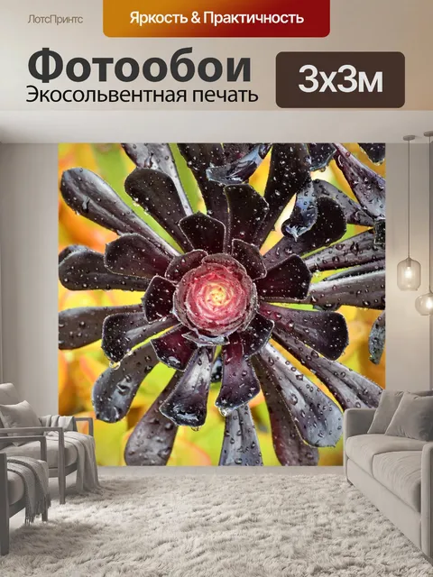 Фотообои Черные розы