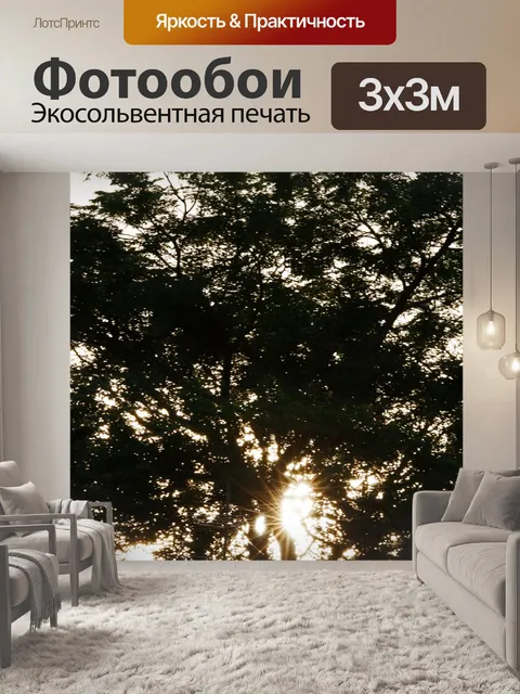 Фотообои Солнце сквозь ветви деревьев
