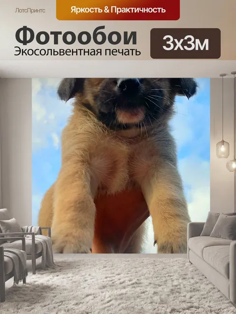 Фотообои Щенок