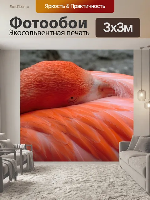 Фотообои Фламинго