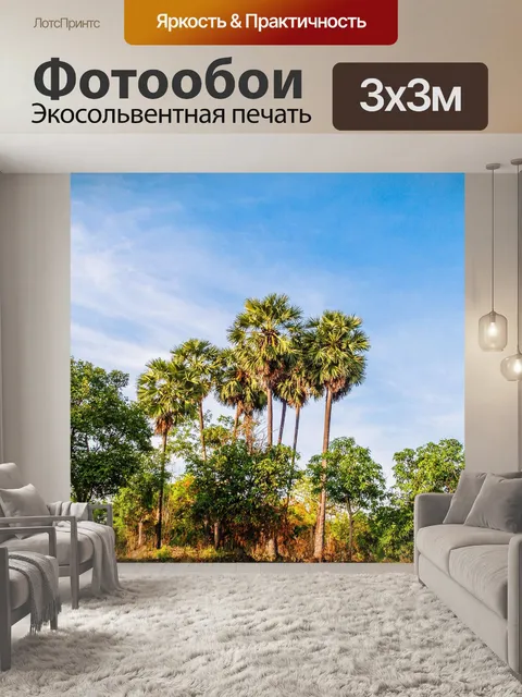Фотообои Сахарная пальма