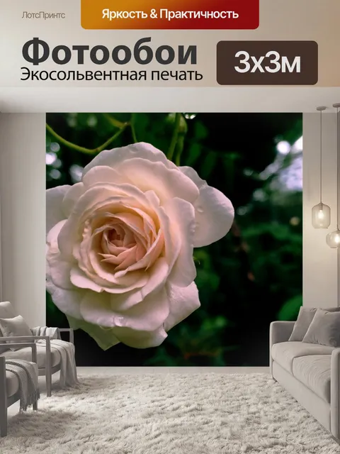 Фотообои Роза