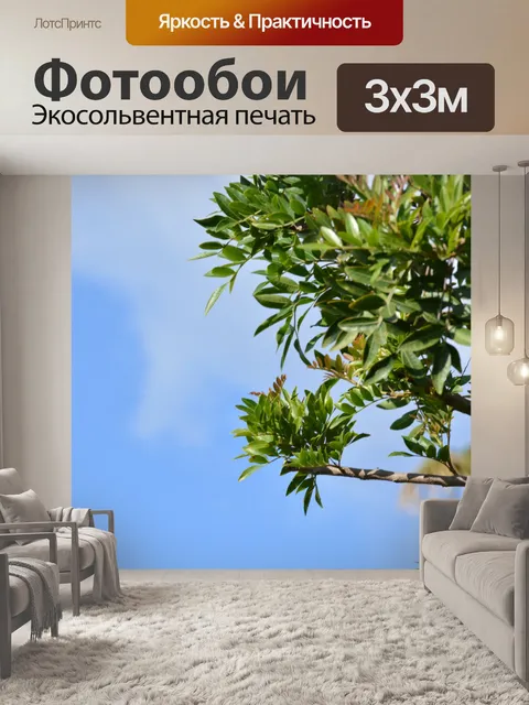 Фотообои Ветвь дерева