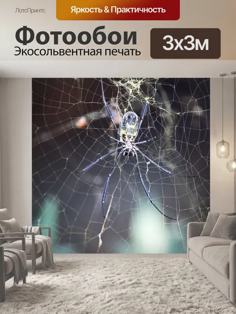 Фотообои вентральная сторона золотого ткача сферы