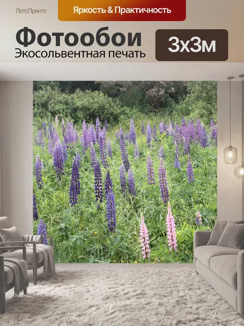 Фотообои Фиолетовый Цветы в местах