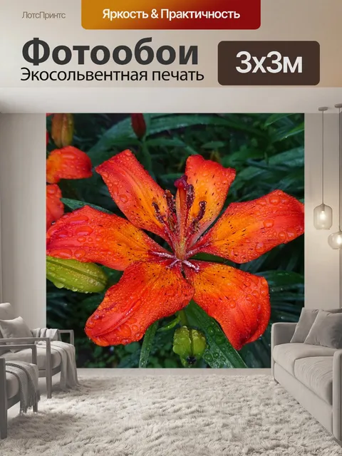Фотообои Лилии