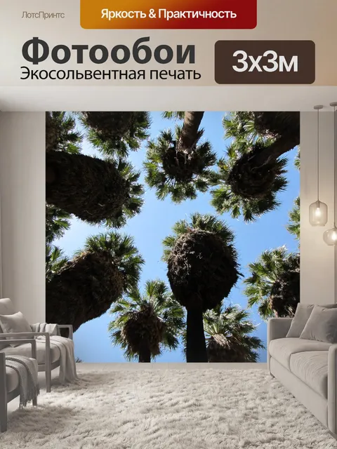 Фотообои Палм-спрингс