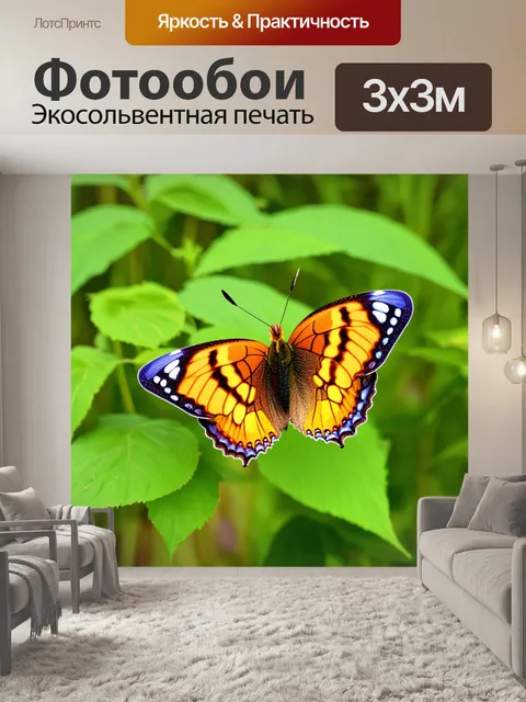 Фотообои бабочки