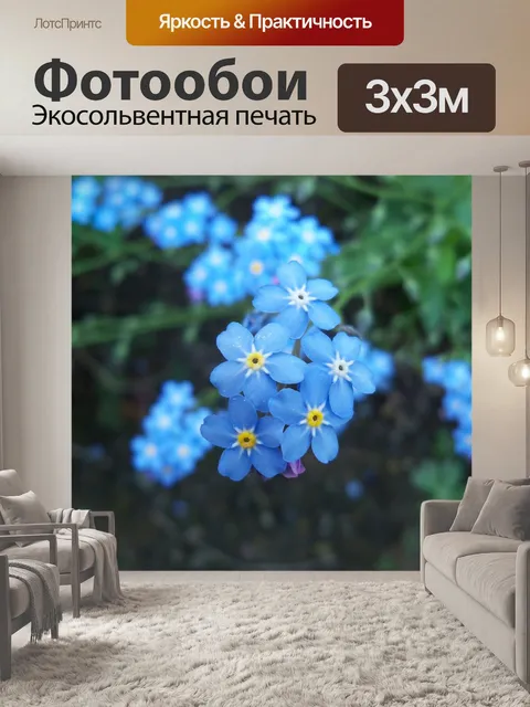 Фотообои Синий цветок
