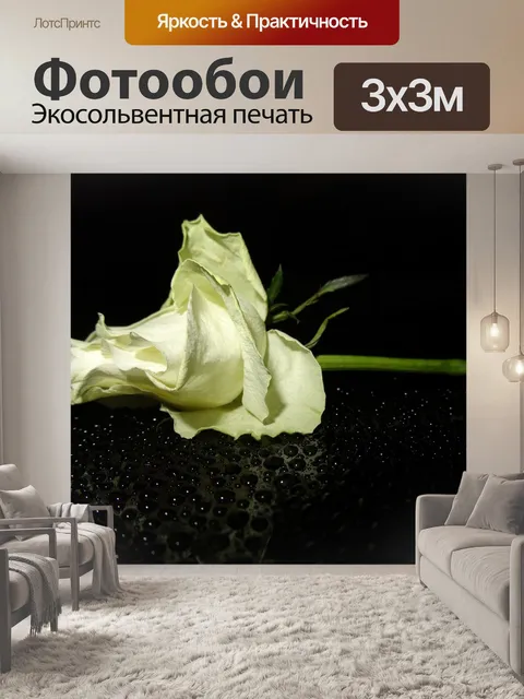 Фотообои Белая роза