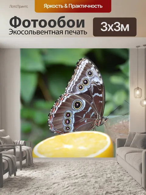 Фотообои Бабочки 2.2