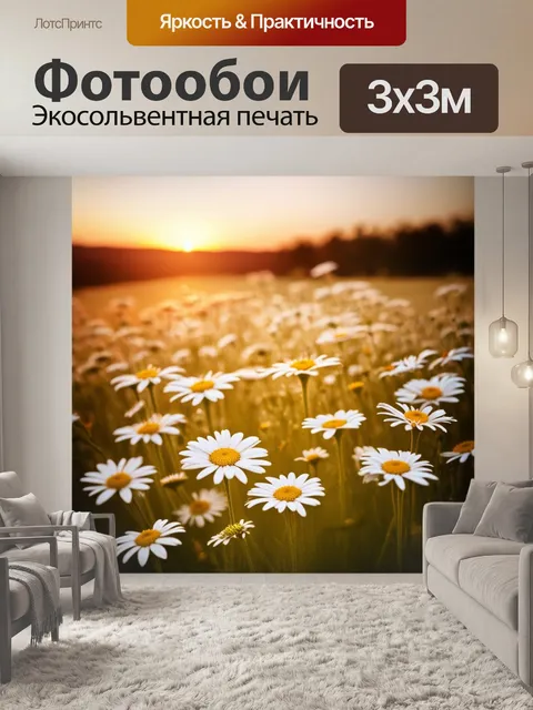 Фотообои на фоне пейзажа с романтическими закатами, луговые ромашки мягко освещены огненными оттенками