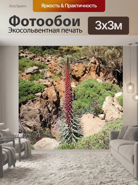 Фотообои Таджинасте