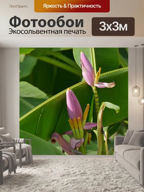 Фотообои Банановые цветы