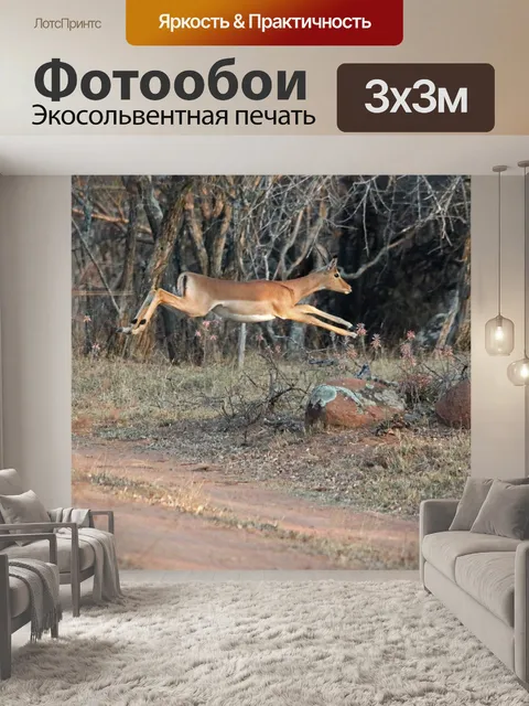 Фотообои баран импалы, парящий по грунтовой дорог