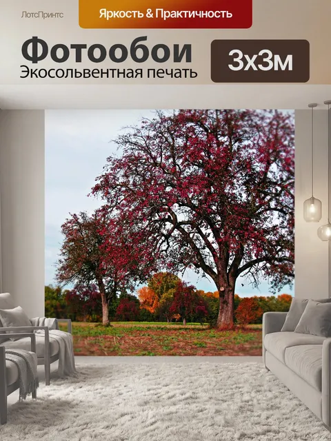 Фотообои Деревья