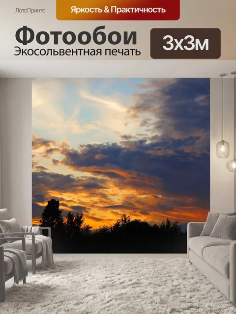 Фотообои Вид