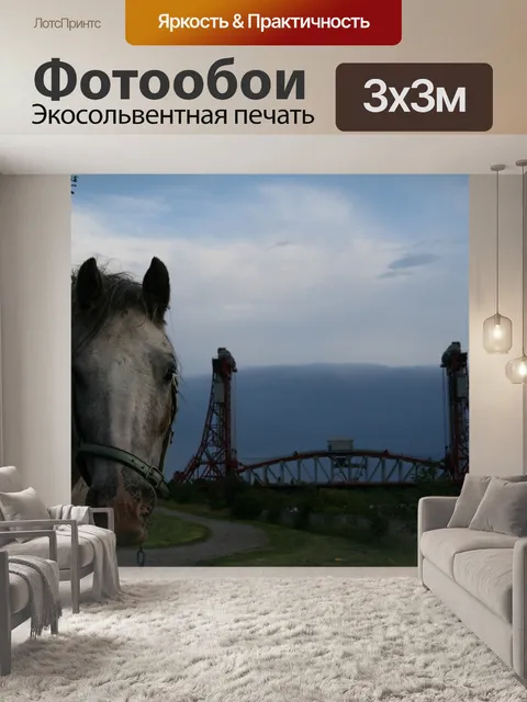 Фотообои Лошадь