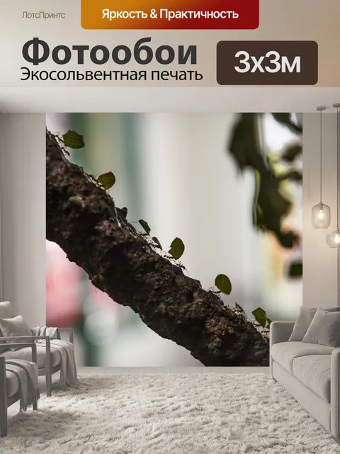 Фотообои Листья-муравьи, несущие листья