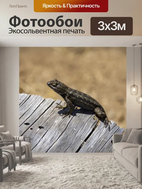 Фотообои Ящерица