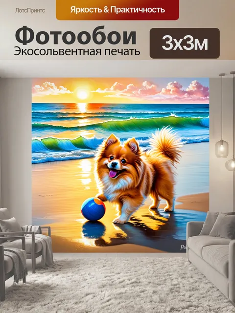 Фотообои померанский шпиц, играющий с игрушкой в форме мяча на берегу моря, с волнами и солнцем на горизонте