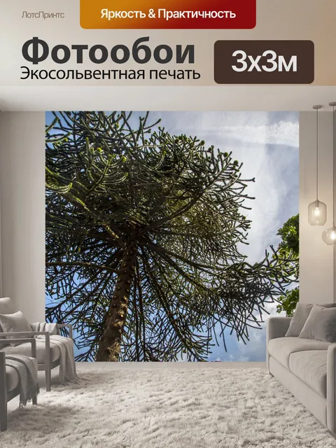 Фотообои Сосновый бор
