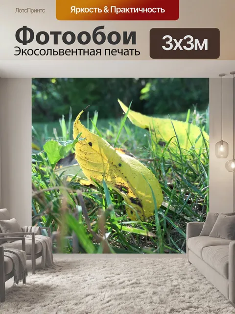 Фотообои Листья