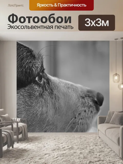 Фотообои Собака