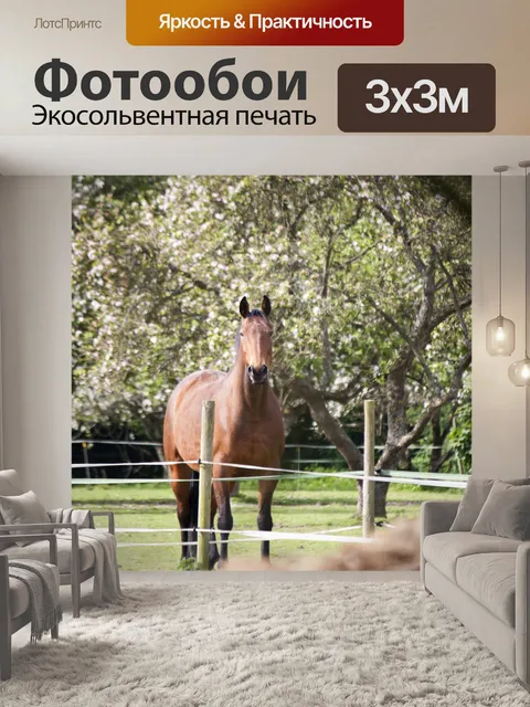 Фотообои Лошадь