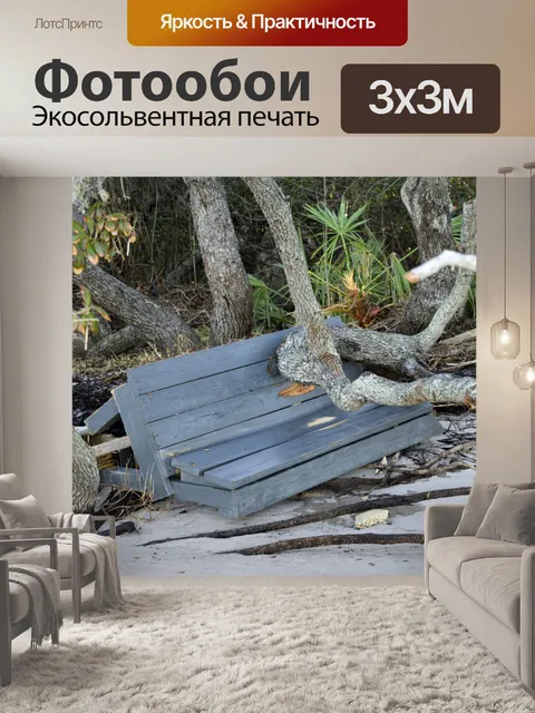 Фотообои Ураган Matthew Ущерб