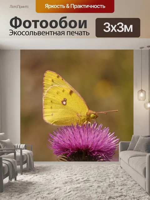 Фотообои Бабочка