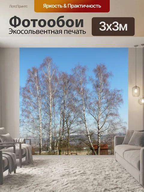 Фотообои Березы