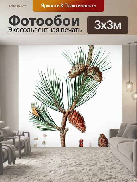 Фотообои Сосновые ветки шишки винтаж старые