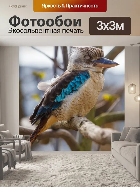 Фотообои Синий крылатый кукабурра