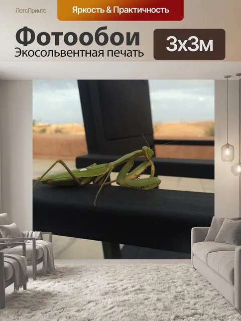 Фотообои Богомол