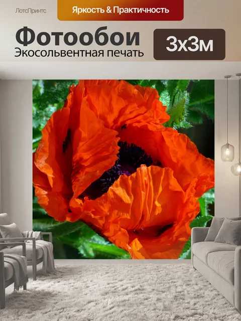 Фотообои Цветок