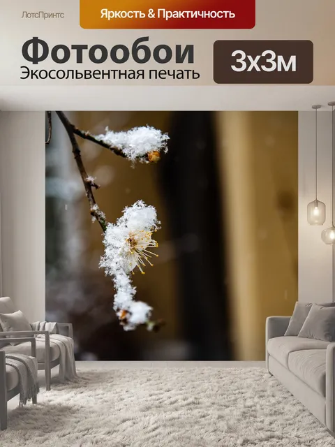 Фотообои Зима