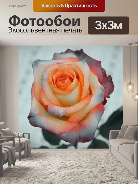 Фотообои Роза
