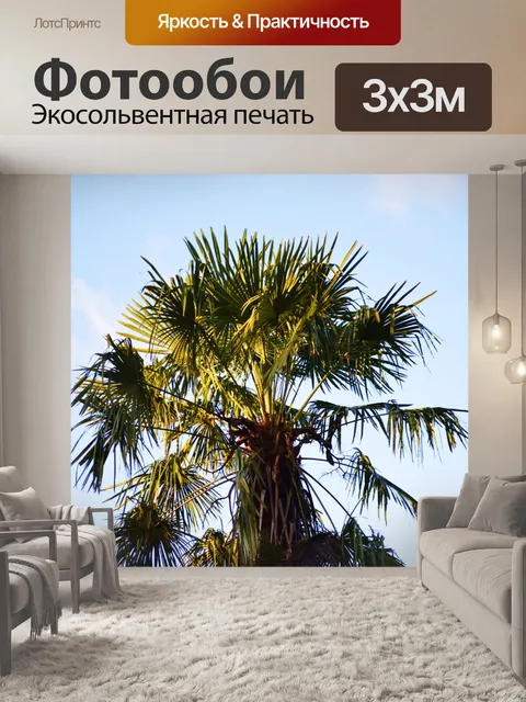 Фотообои Пальмы и небо
