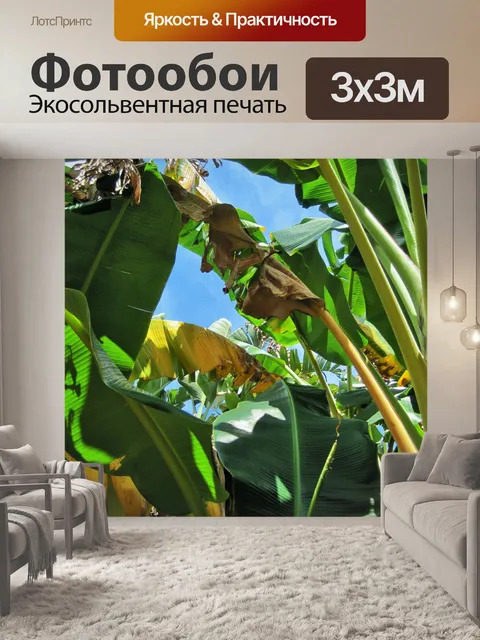 Фотообои банановое дерево с зеленой и коричневой