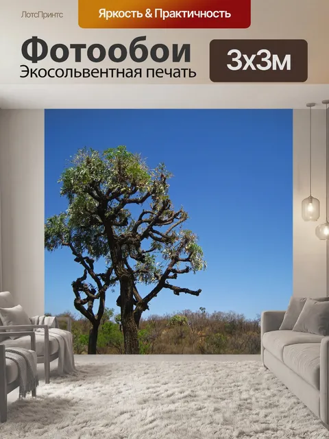 Фотообои капуста на фоне голубого неба