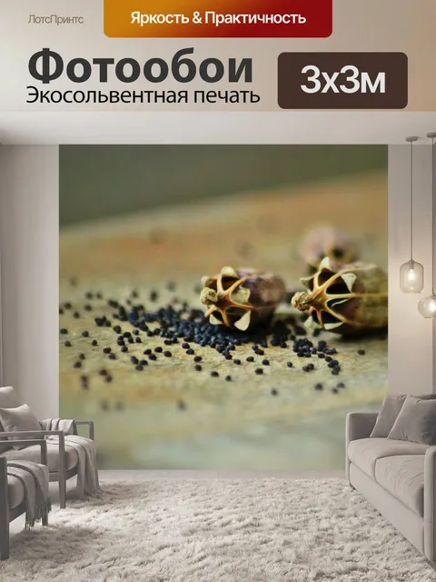 Фотообои Маковые капсулы