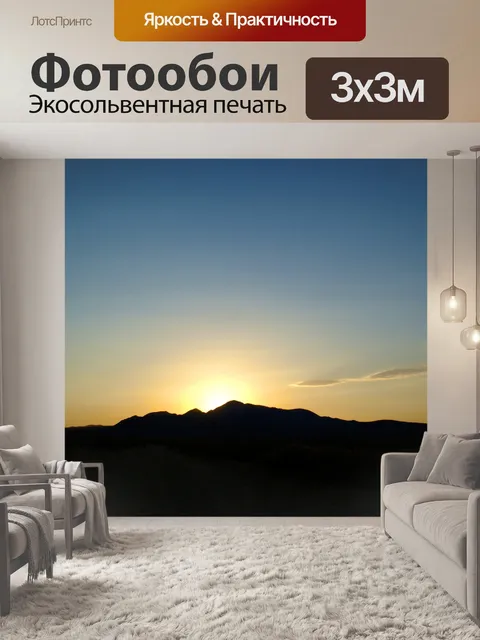 Фотообои Силуэт Desert Sunset