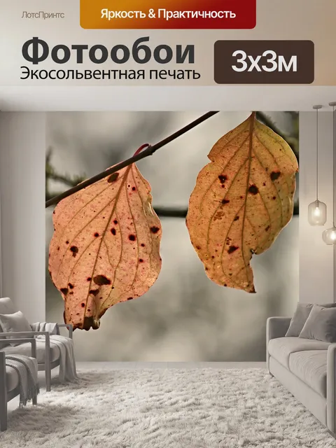 Фотообои Осенние листья