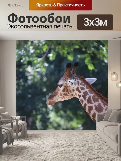 Фотообои Жирафа