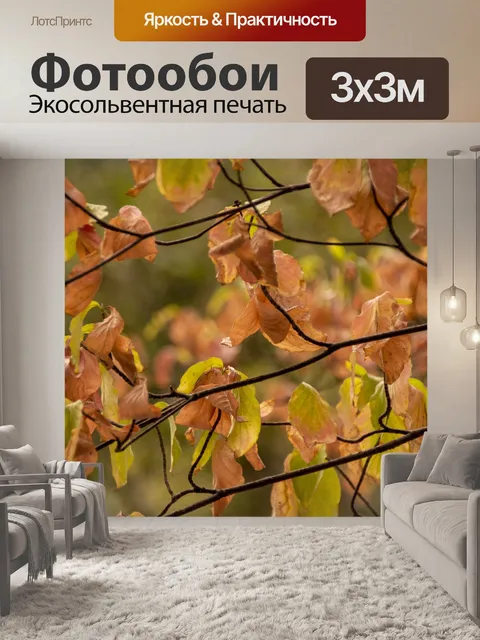 Фотообои Осенние листья