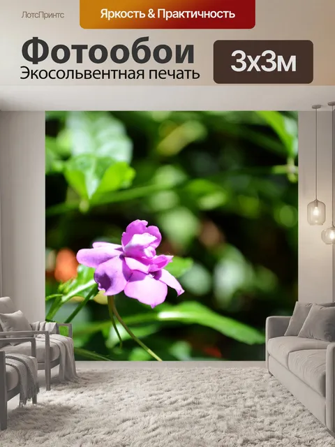 Фотообои Фиолетовый цветок