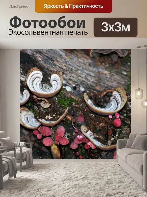 Фотообои Кронштейны и штифты